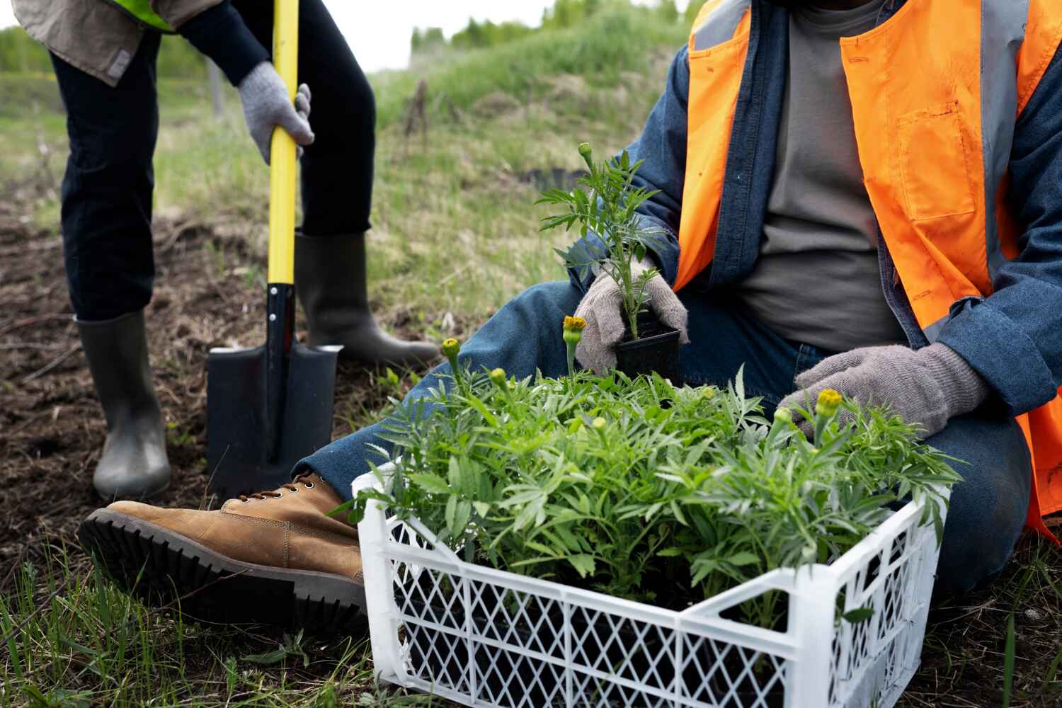 Best Tree Pruning Services  in Port Richey, FL